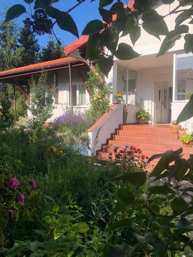 Dom Natura Grzybowo  Exterior foto